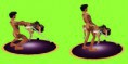 2.The BDSM Tool 8