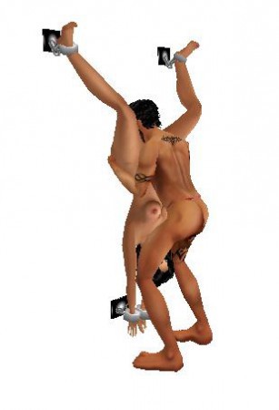 2.The BDSM Tool 7